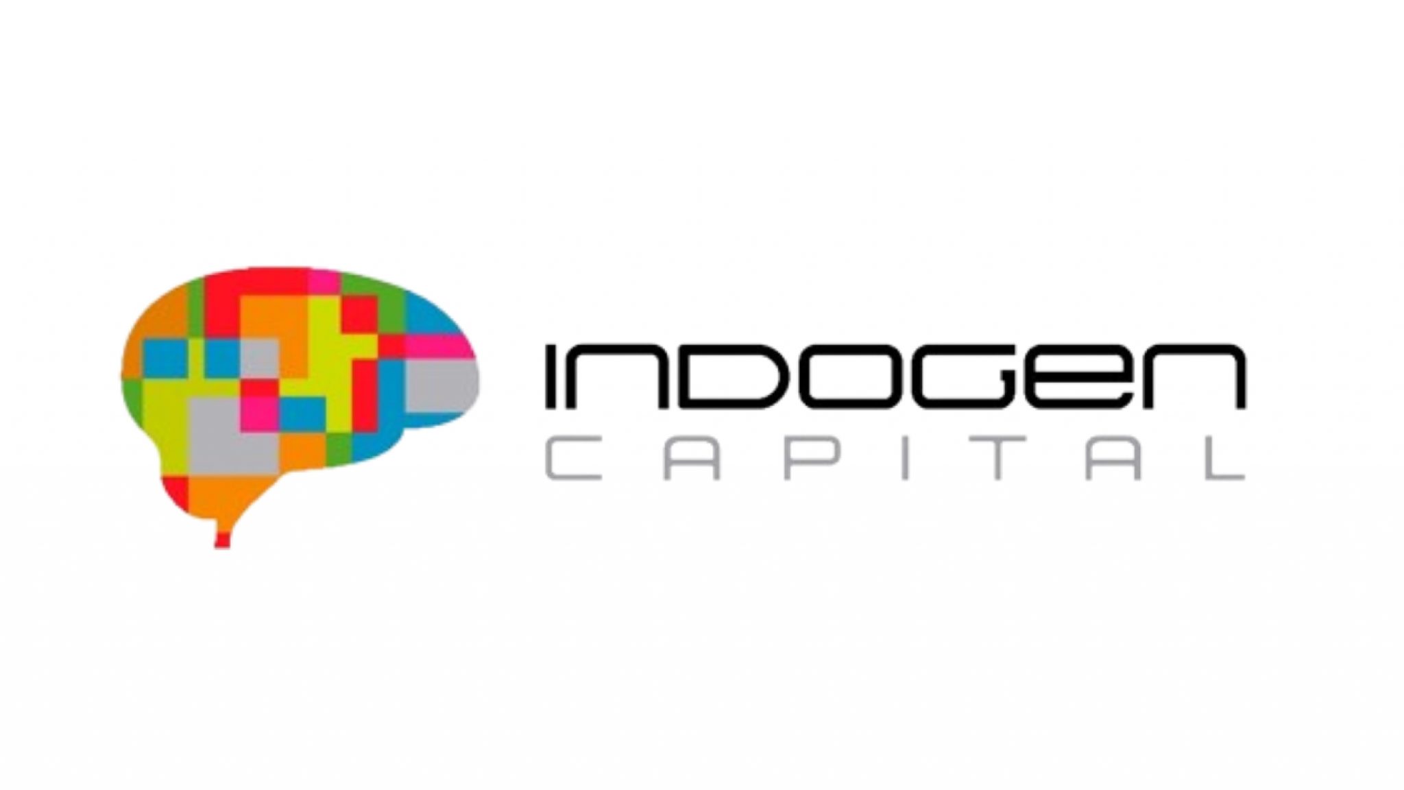 INDOGEN CAPITAL